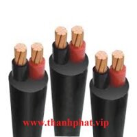 Dây Cáp Điện 2 Lõi Cadivi CVV 2x4