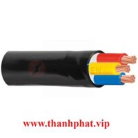 Dây Cáp Điện 3 Lõi Cadivi CVV 3x6