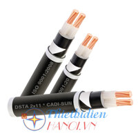 Dây cáp điện Cadisun, Cáp ngầm DSTA 2x4