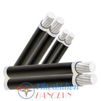 Dây cáp điện Cadisun, Cáp nhôm bọc XLPE ABC 2x16