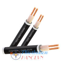 Dây cáp điện Cadisun, Cáp treo CXV 2x4