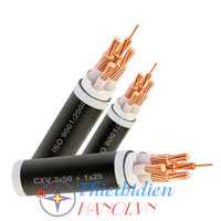 Dây cáp điện Cadisun, Cáp treo CXV 3x25+1x16
