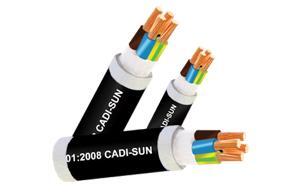 Dây cáp điện Cadisun CXV 3x16 +1x10