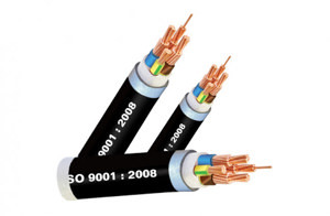 Dây cáp điện Cadisun CXV 3x2.5+1x1.5