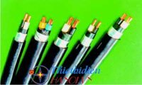 Dây cáp điện Cadivi, Cáp điện kế DK / CVV 4x25