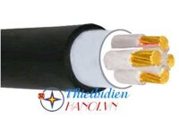 Dây cáp điện Cadivi, Cáp ngầm DSTA 4x25