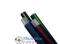 Dây cáp điện Cadivi, Cáp nhôm bọc AV-300 - 0,6/1kV