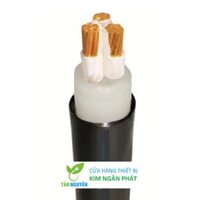 Dây cáp điện Cadivi, Cáp treo CXV 3×50