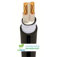 Dây cáp điện Cadivi, Cáp treo CXV 2×10