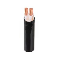 Dây Cáp Điện Cadivi Cu/XLPE/PVC CXV-2×10 (2X7/1.35) – 300/500V