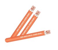 Dây cáp điện chống cháy Cadisun FRN-CXV 2x4.0 (Đặc) 0.6/1kV