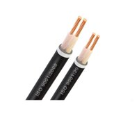 Dây cáp điện CXV 2×16