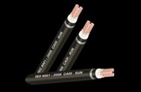 Dây cáp điện CXV 3×10