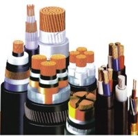 Dây Cáp Điện Hạ 2 Lõi Thế Cadivi CVV 2x4