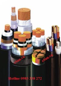 Dây Cáp Điện Hạ Thế Cadivi CVV 10