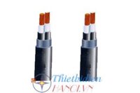 Dây cáp điện Sino, Cáp ngầm DSTA 2x10