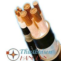 Dây cáp điện Sino, Cáp ngầm DSTA 3x25+1x16