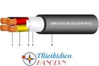 Dây cáp điện Sino, Cáp treo CXV 4x50