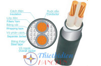 Dây cáp điện Trần Phú, Cáp ngầm CXV-DSTA 2x6