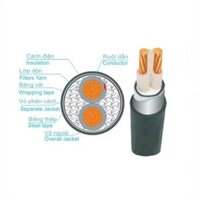 Dây cáp điện Trần Phú, cáp ngầm CXV-DSTA 3x70