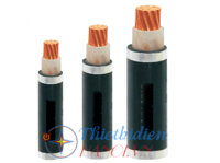 Dây cáp điện Trần Phú, Cáp treo CXV 1x16