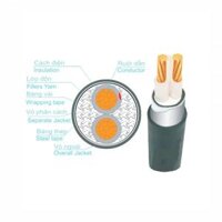Dây cáp điện Trần Phú, cáp ngầm CXV-DSTA 3x6+1x4