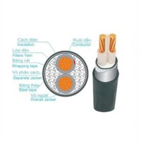 Dây cáp điện Trần Phú, cáp ngầm CXV-DSTA 3x10
