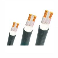 Dây cáp điện Trần Phú, cáp treo CXV 2x6