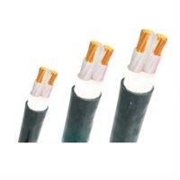 Dây cáp điện Trần Phú, cáp treo CXV 2x10