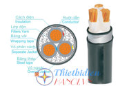 Dây cáp điện Trần Phú, Cáp ngầm CXV-DSTA 3x35