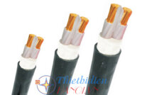 Dây cáp điện Trần Phú, Cáp treo CXV 2x4