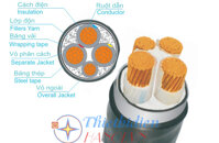 Dây cáp điện Trần Phú, Cáp ngầm CXV-DSTA 3x6+1x4