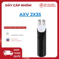 Dây Cáp Nhôm AXV 2×35 – Tải Rất Lớn, Ổn Định, Giá Cạnh Tranh