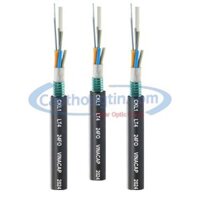 Dây cáp quang cống kim loại 24 sợi Vinacap CKL-24Fo ( 24FO , 24 core )