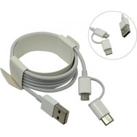 Dây cáp sạc- Mi 2-in-1 USB Cable Micro USB to Type-C