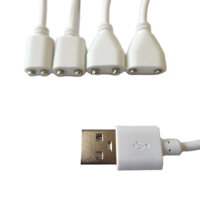 Dây Cáp Sạc USB DC Có Nam Châm Chuyên Dụng Cho Đồ Chơi Người Lớn
