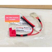 Dây Cầu Chì - Hộp Bình Cầu Chì Exciter 2011 Chính Hãng Yamaha