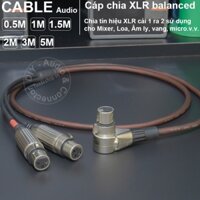 Dây chia XLR cái sang 2 cái cắm cho Vang Đẩy Micro Mixer - Self-made balanced audio XLR port splitter cable to 2
