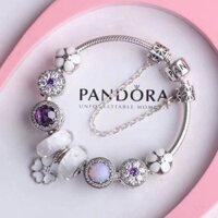 Dây Chuyền Bạc 25 Mặt Hình Khúc Xương pandora