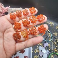 Dây Chuyền Mặt Cỏ 4 ( Bốn ) Lá Ngọc Đỏ Kèm Dây Dù Đeo Cổ