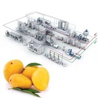 Dây Chuyền Sản Xuất Nước Ép Xoài