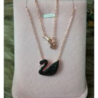 Dây chuyền thiên nga đen