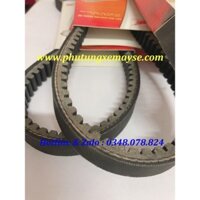 Dây Cuaroa xe JANUS – BJ7