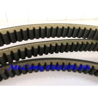 Dây Cuaroa xe SHARK