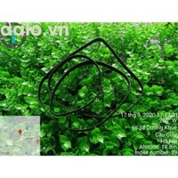 Dây Curoa Máy in kim Epson LQ 2170 Máy in Kim A3 - aalo.vn