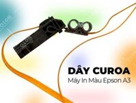 Dây Curoa máy in màu Epson A3
