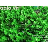 Dây curoa máy in phun màu đa chức năng Canon Pixma G2000 - aalo.vn