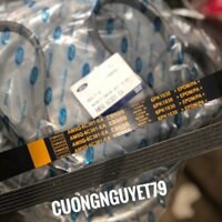 Dây curoa tổng ford ecosports 1.5 xịn chính hãng