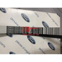 Dây Curoa Tổng Ford Fiesta Chính Hãng CN1Q6C301AA