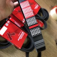 DÂY CUROA TỔNG FORD TRANSIT 2015-2022